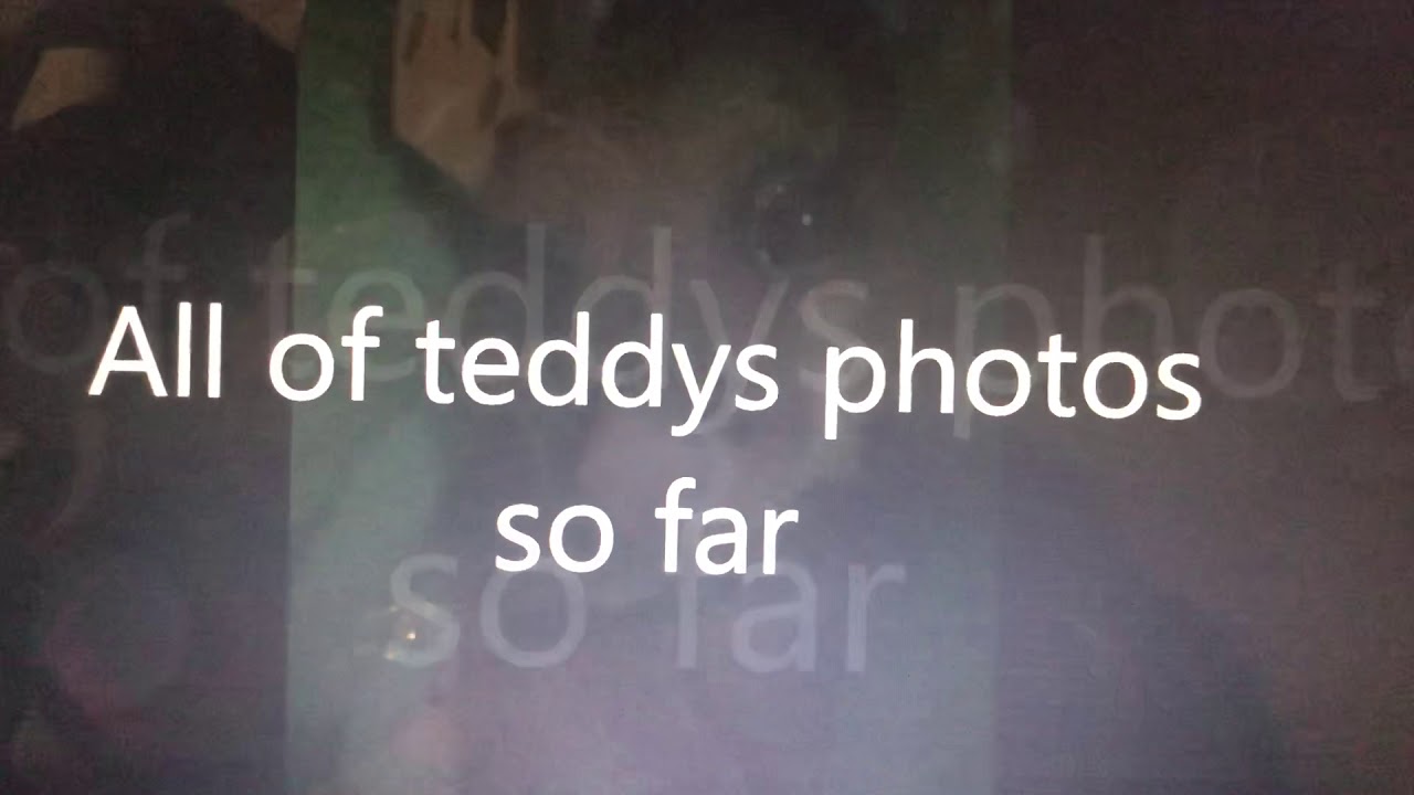 All of Teddy&rsquo;s photos 🐻