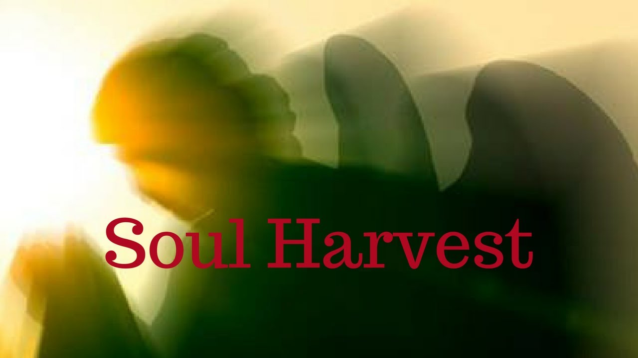 Soul Harvest by Painshifter