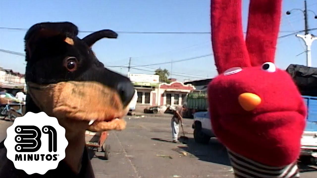 31 minutos - Nota verde - Perros callejeros