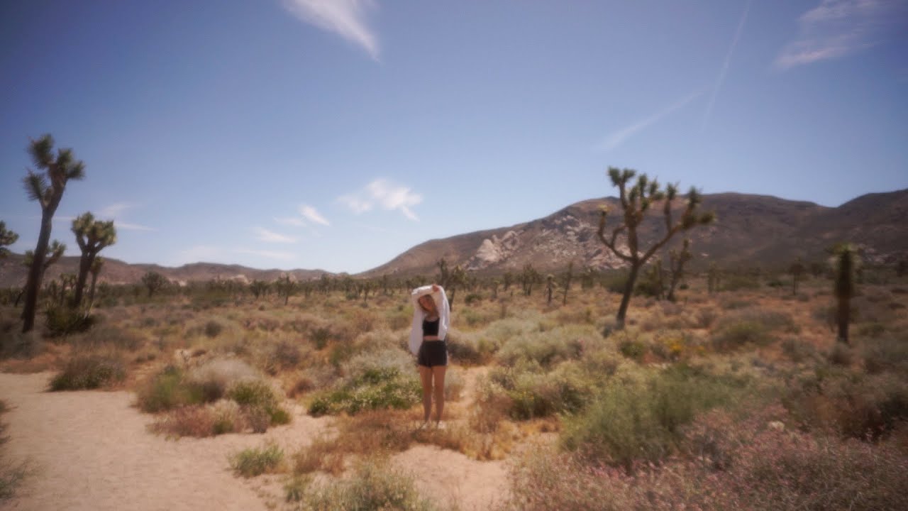 Night And Day - Melissa Lamm (VISUALIZER)
