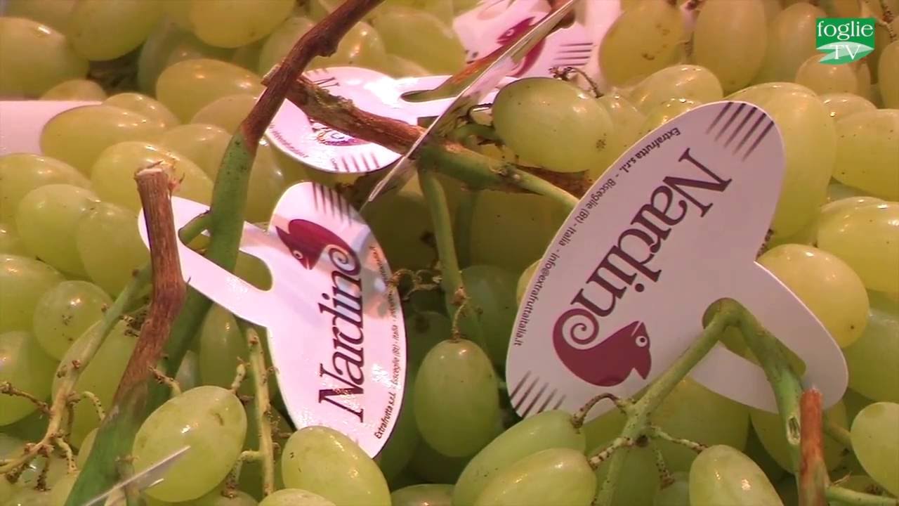 FOGLIE TV - Speciale Fruit Attraction 2016 - Focus aziende d'eccellenza pugliesi:Extrafrutta