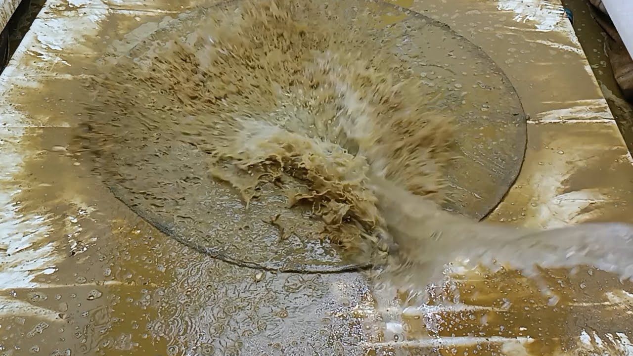 Clean the most beautiful round carpet ever! But who could let it get so dirty?ASMR satisfying carpet