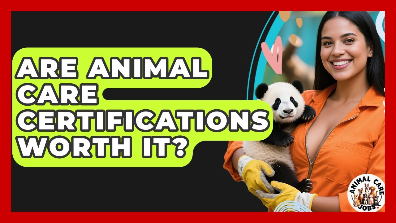 Are Animal Care Certifications Worth It? - Animal Care Jobs