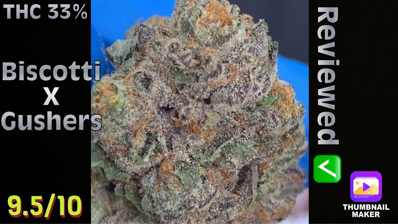Strain Review: Biscotti x Gushers (Connected) #5