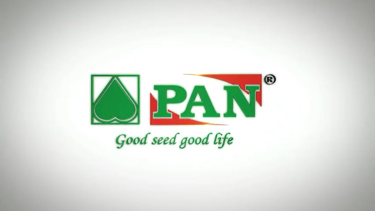 Pan Seeds Corporate Video (Hindi Version)