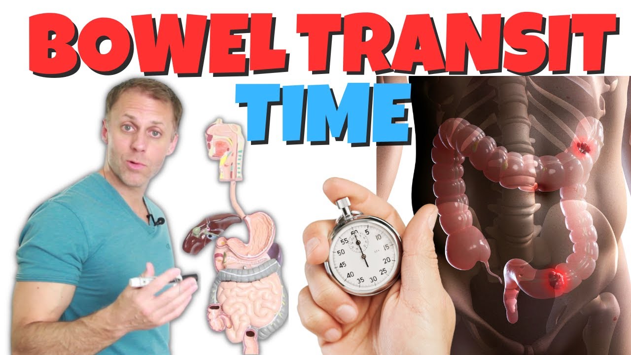 What&rsquo;s the Optimal Bowel Transit Time