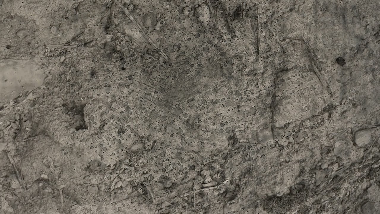 Markus Guentner - Weltschmerz