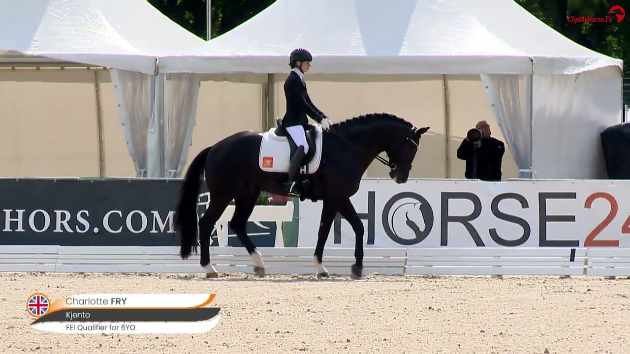 Van Olst Horses Kjento Verden 2021 1st test