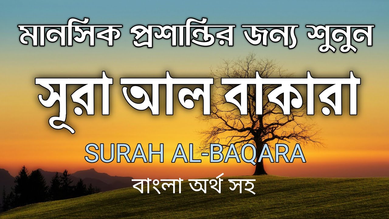 সূরা আল-বাকারা Surah Baqarah Full Tilawat | বরকত, রহমত, সুরক্ষা ও অন্তরের প্রশান্তির কুরআন পাঠ শুনুন