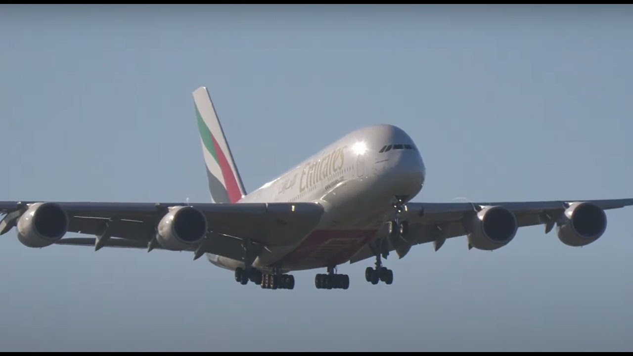 Auckland airport Livestream with Kev and Kurt (KDS)