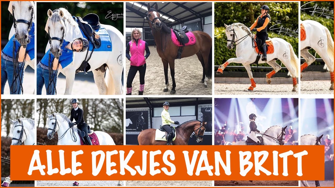 OMG, hoeveel dekjes heeft Britt?! + Prijsvraag | PaardenpraatTV