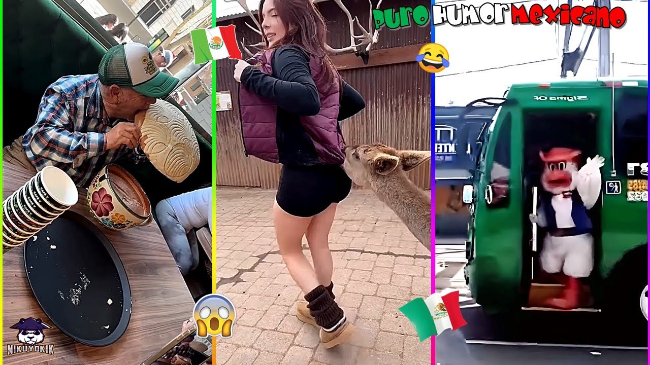 🚨🇲🇽 HUMOR MEXICANO VIRAL 😂🔥 (SI TE RÍES PIERDES) COSAS de M3XlCAN0S #227