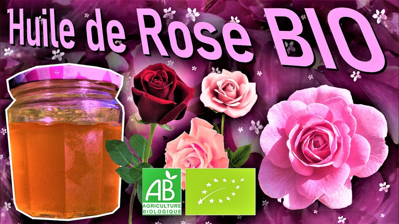 Comment faire son huile de ROSE ? 🌹
