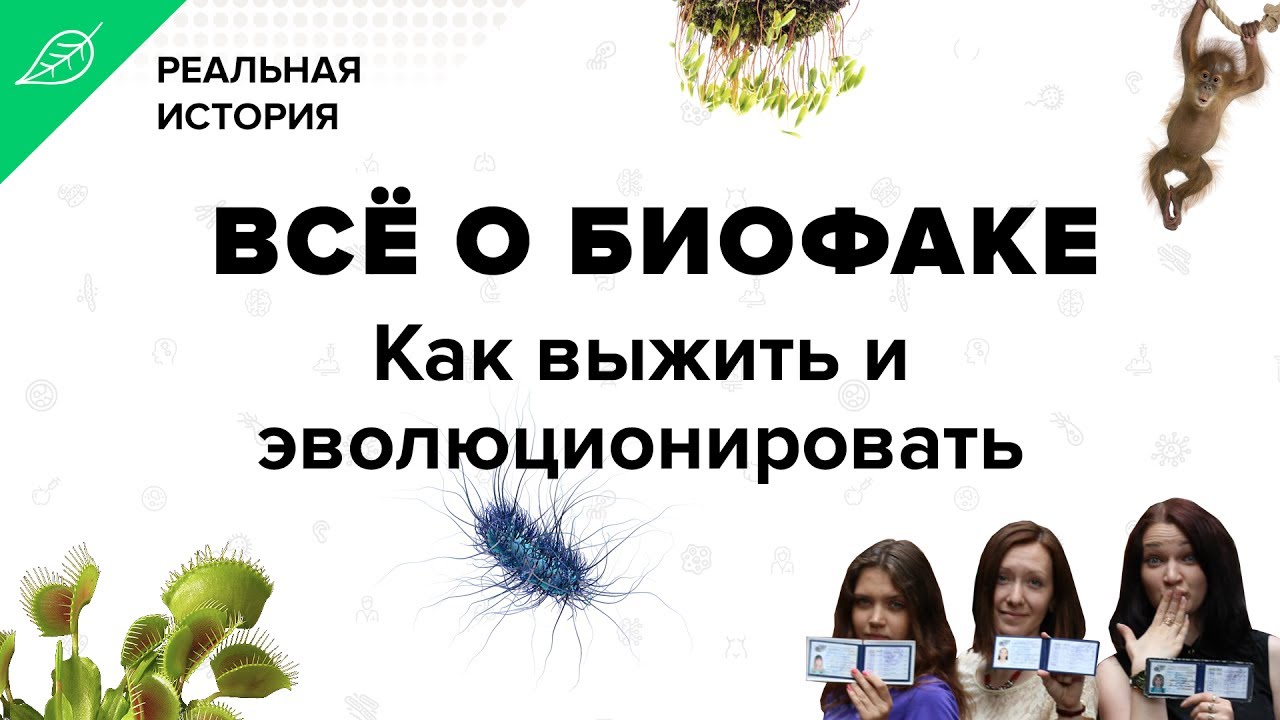 Все о биофаке. Как выжить и эволюционировать. Реальная история биолога.