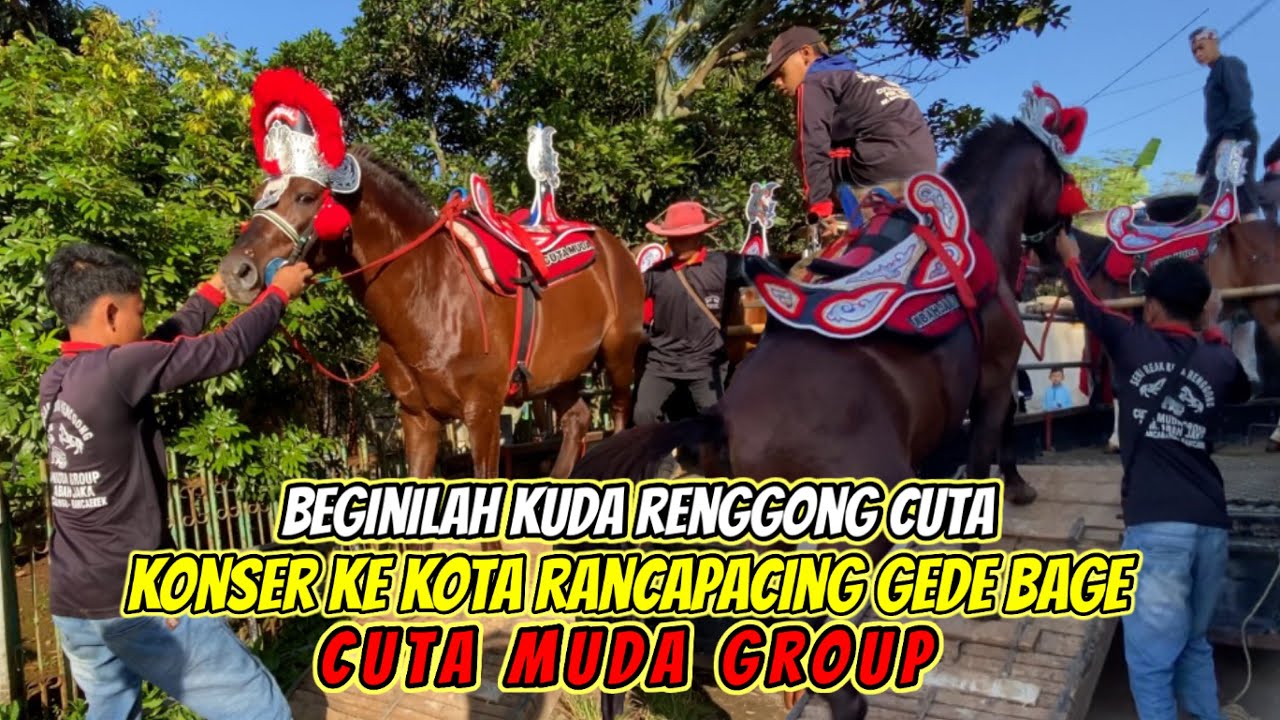 Beginilah Kuda Renggong Kalau Berangkat ke Pentas❗️❗️Perjalanan Ke Rancapacing 💥 Cuta Muda Group