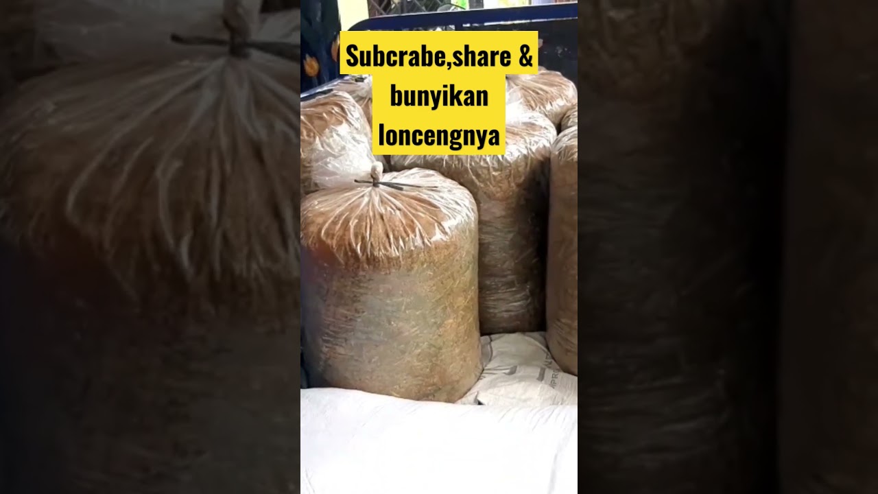 CIRI - CIRI PAKAN silase 100% Berhasil