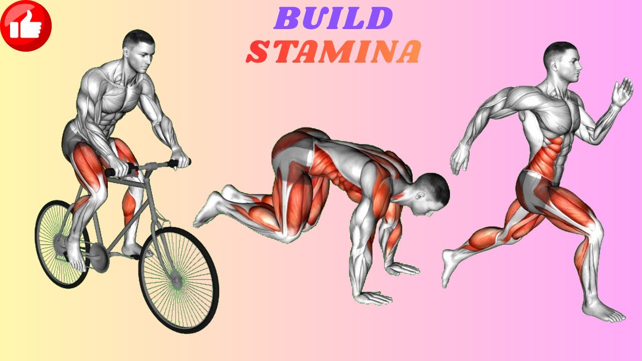 Explosive Speed & Agility Training for Athletes Follow Along