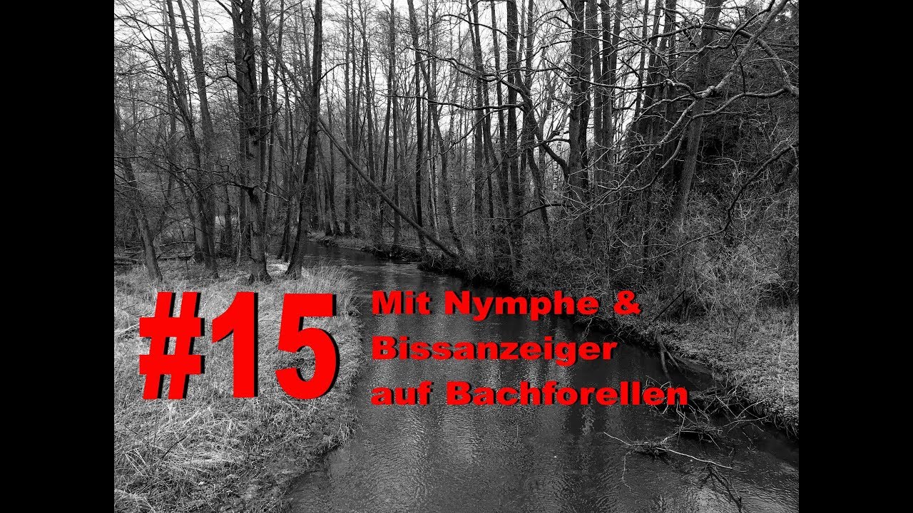 #15 Fliegenfischen mit Nymphe & Bissanzeiger auf Bachforelle