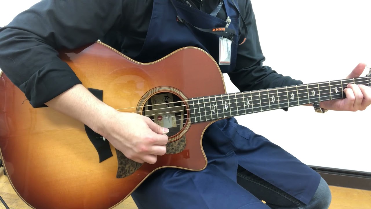 Taylor 714ce WSB V-Class サウンドチェック