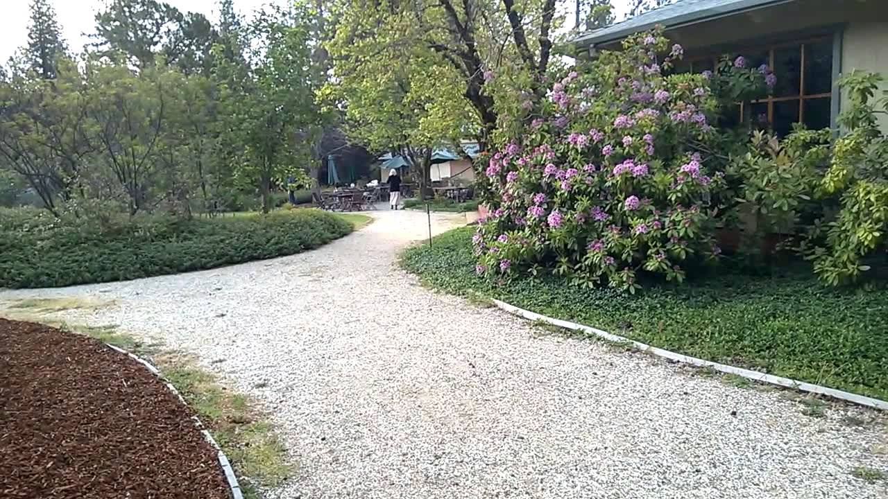 Ananda Village: Hansa Temple to Expanding Light Center