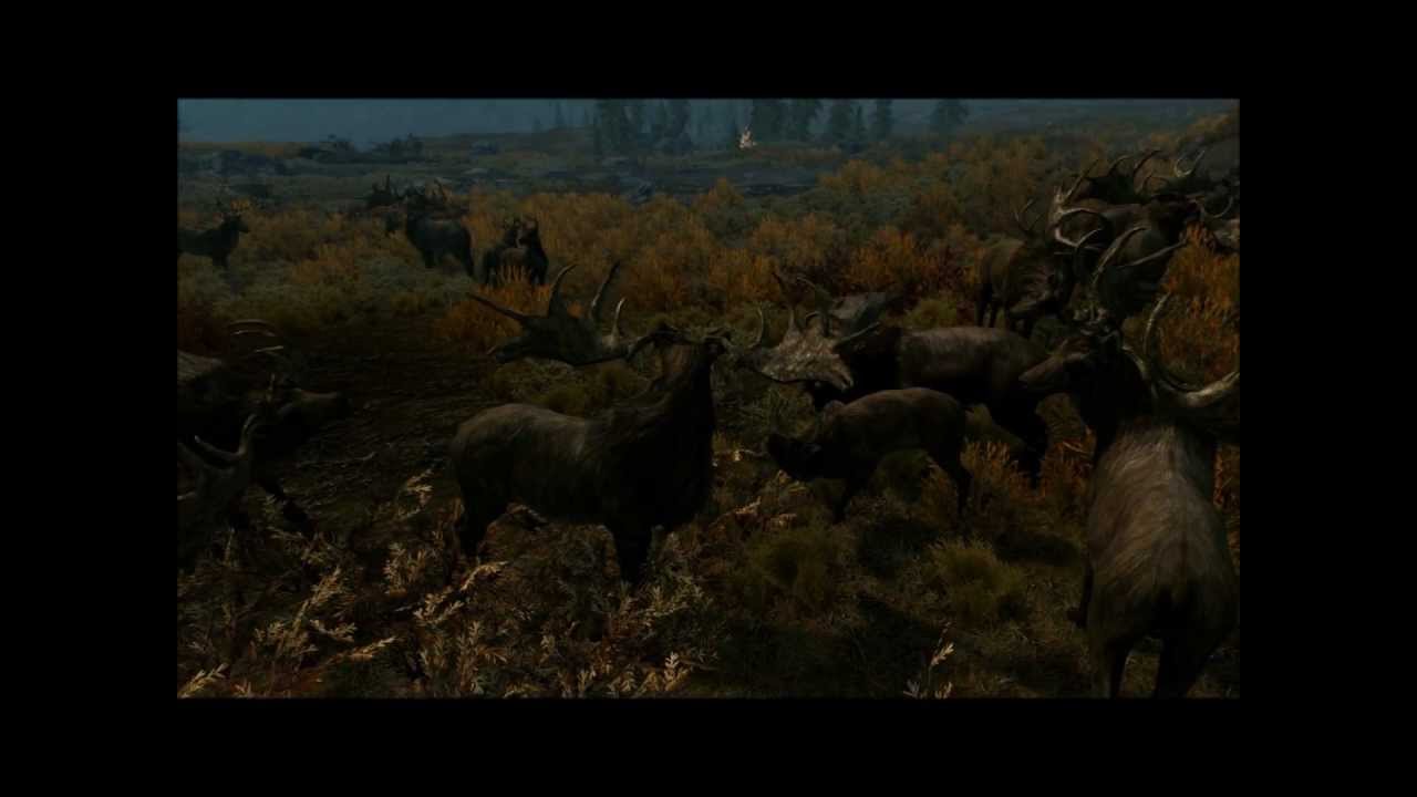 Skyrim Mod: SkyTEST