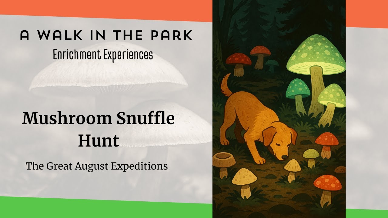 🍄 The Mushroom Snuffle Hunt 🍄by A Walk in the Park™ Dog Daycare, Boarding, Grooming, & Training