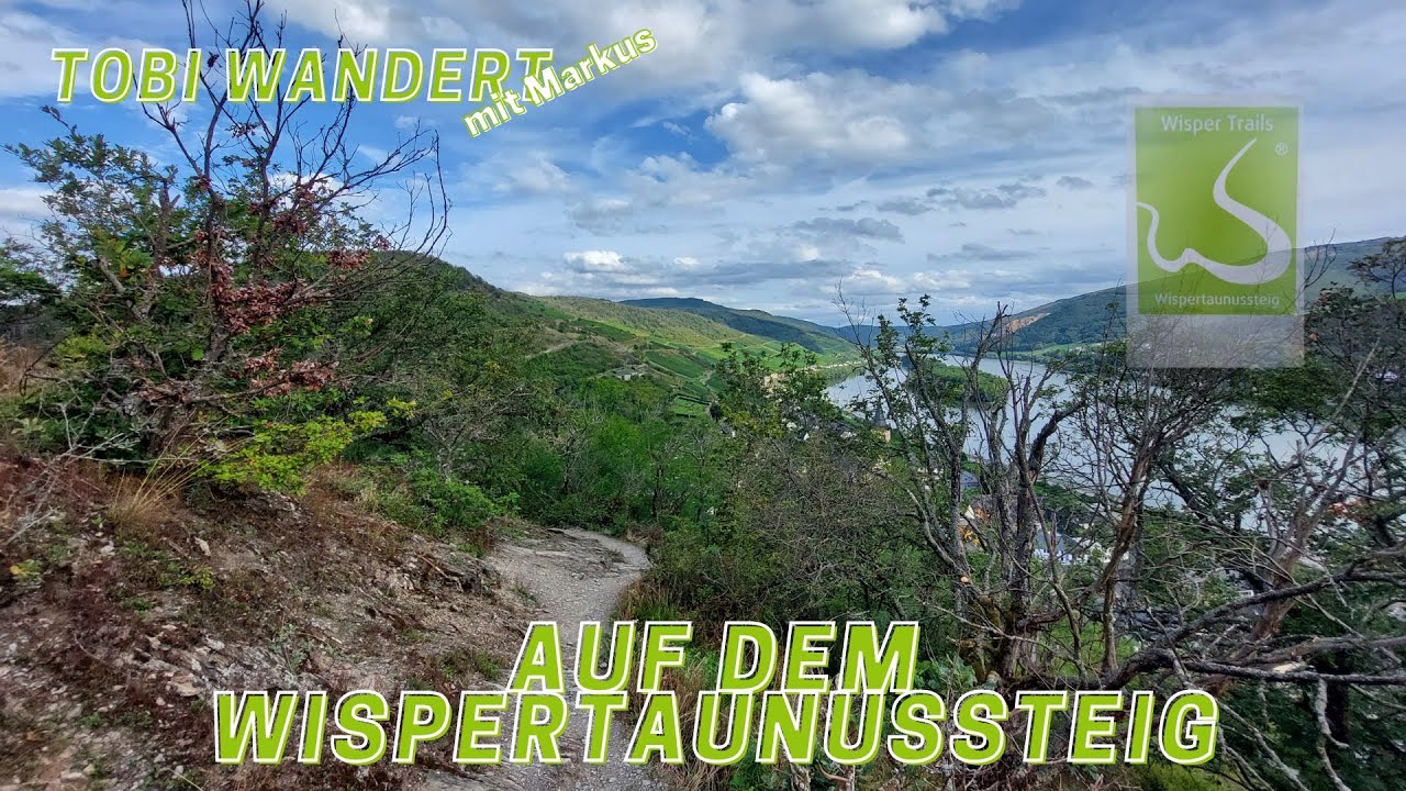Quer durch den Wispertaunus zum Rhein - Wandern auf dem Wispertaunussteig