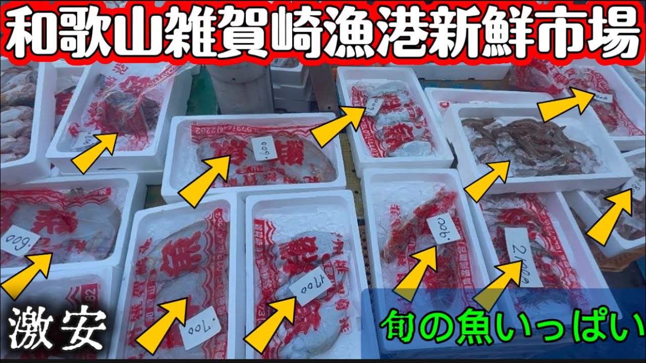 【和歌山雑賀崎漁港市場】『新鮮』『激安』旬の魚いっぱい安すぎてビックリ‼️