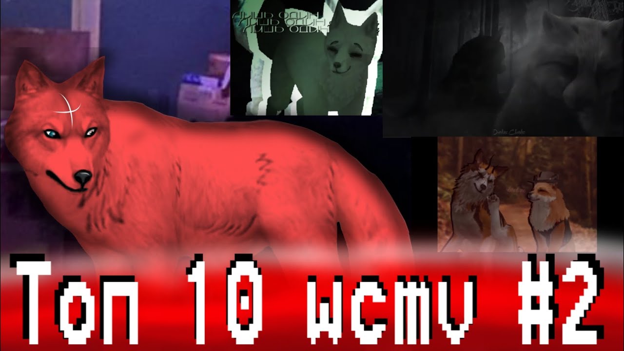Топ 10 wcmv #2 || 3 сезон 2024 || TrufelKa WildCraft