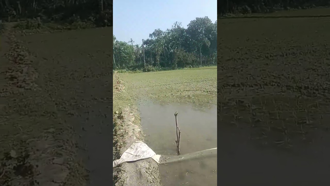অপরূপ সৌন্দর্যের ভিডিও