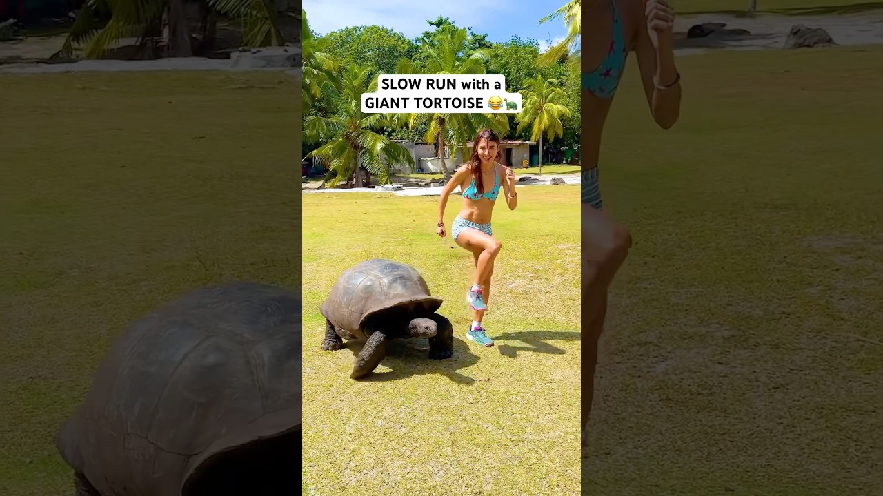 Slow and steady wins the race 😂🐢🏃🏻‍♀️🏁 