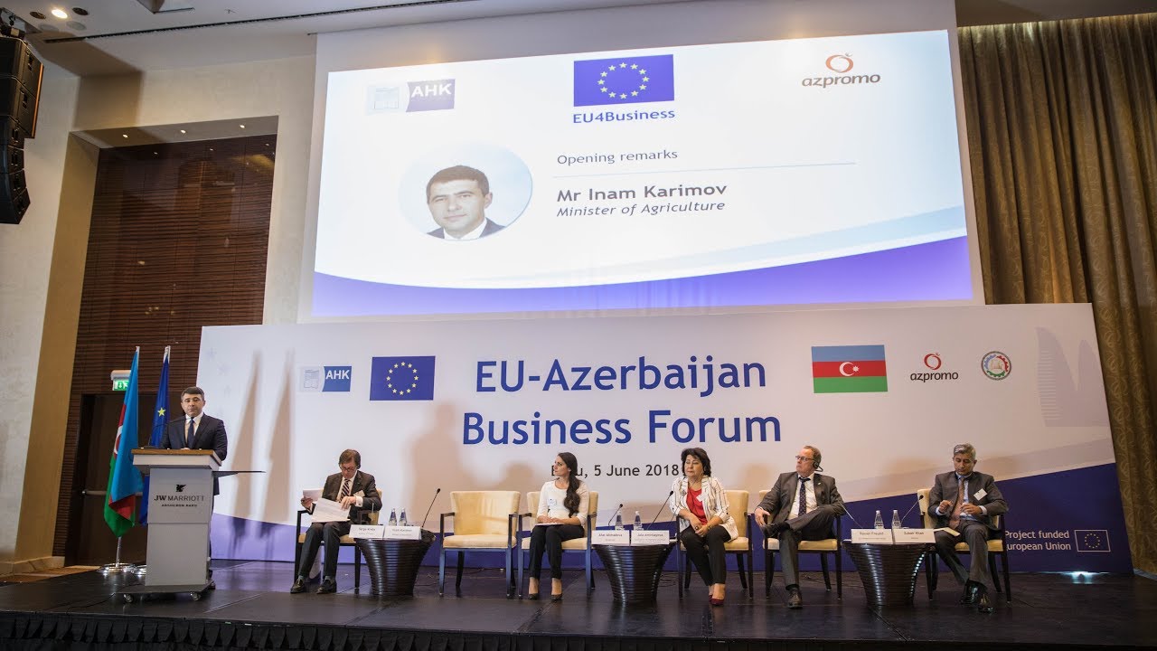 EU-Azerbaijan Business Forum 2018_Panel Discussions