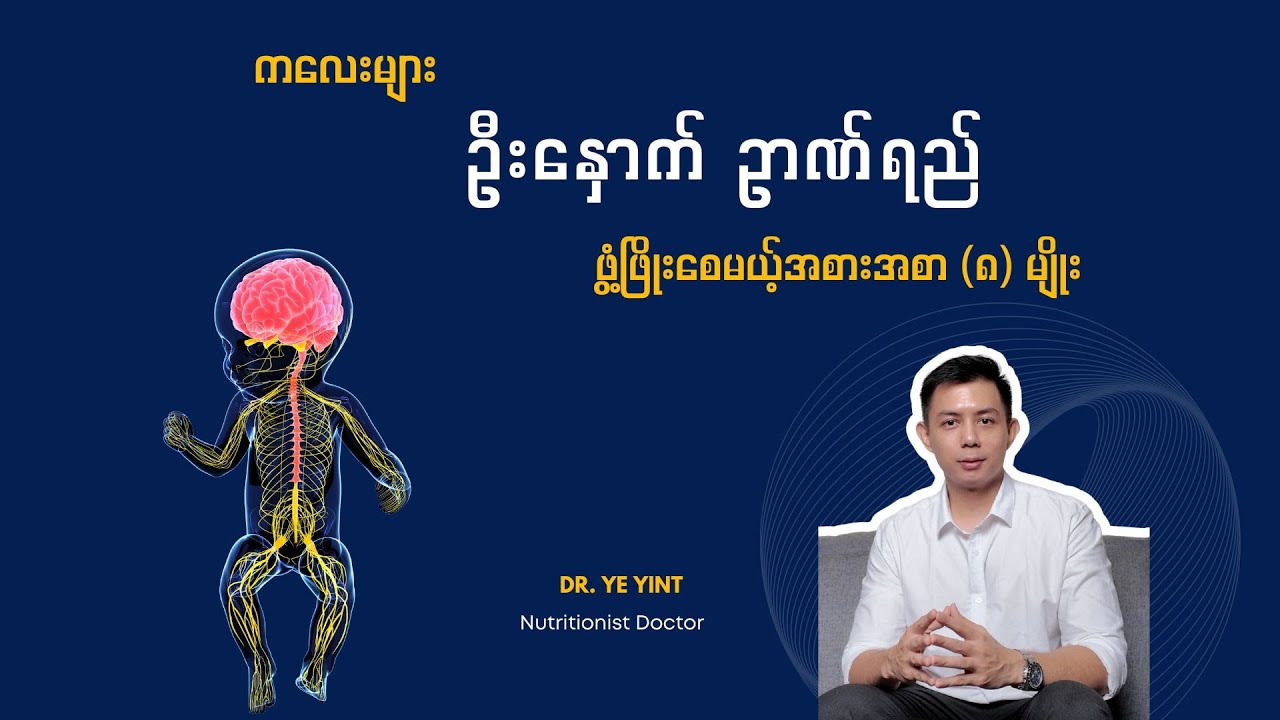 ကလေးများ ဦးနှောက် မှတ်ဥာဏ်ဖွံ့ဖြိုးစေမယ့် အစားအစာ (၈)မျိုး | Dr. Ye Yint