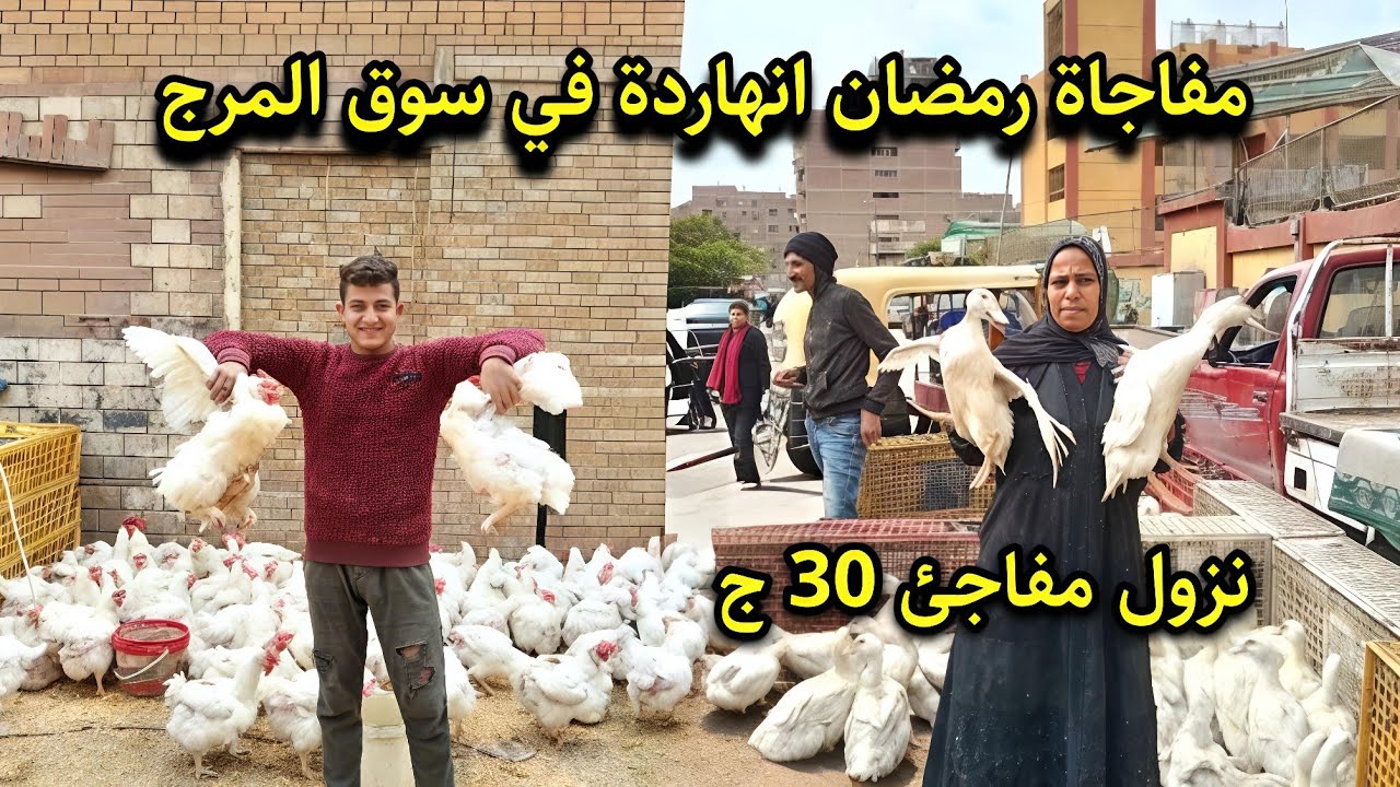اسعار سوق المرج النهاردة😱 في رمضان صدمة الفراخ ب 50 ج والبط 3 كيلو ب 150ج والسمك مفاجاة 💥