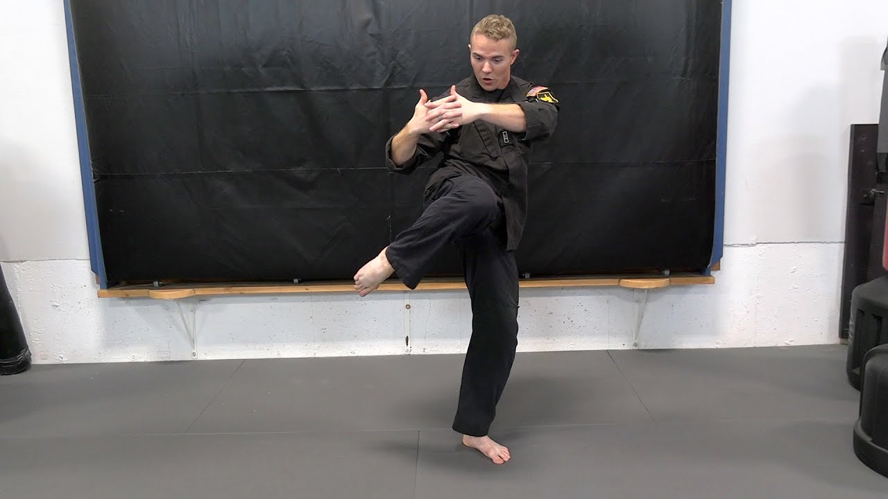 Roundhouse Knee