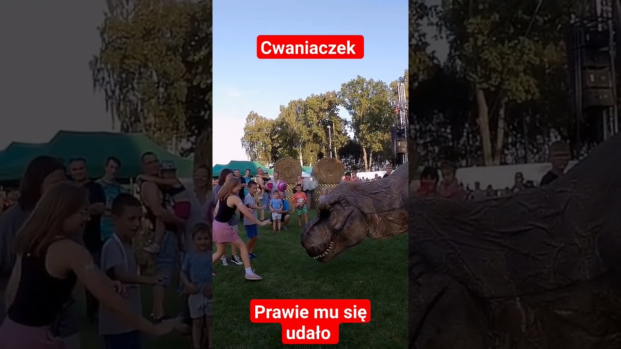 cwaniaczek