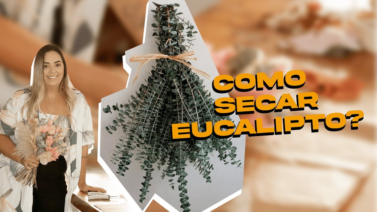 Como secar eucalipto?