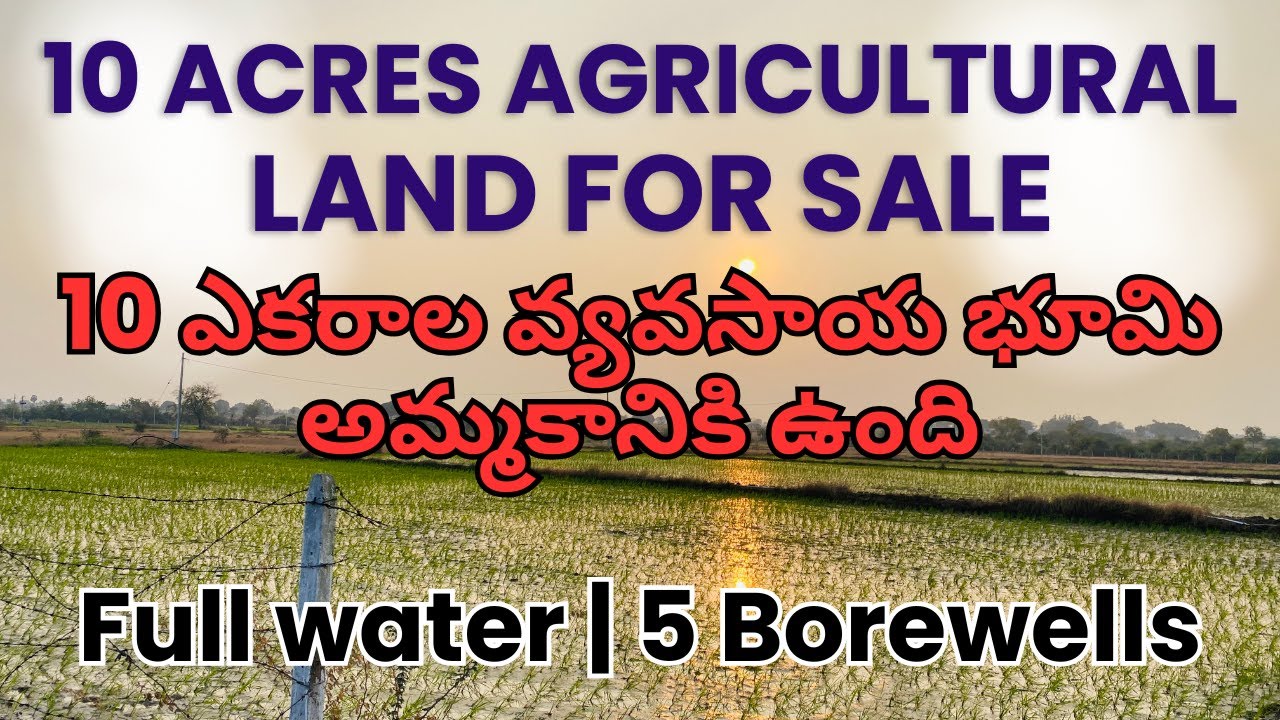 10 Acres Agricultural Land for Sale | Full Water | 5 Borewells | ₹18 Lakhs/Acre | Mahabubnagar
