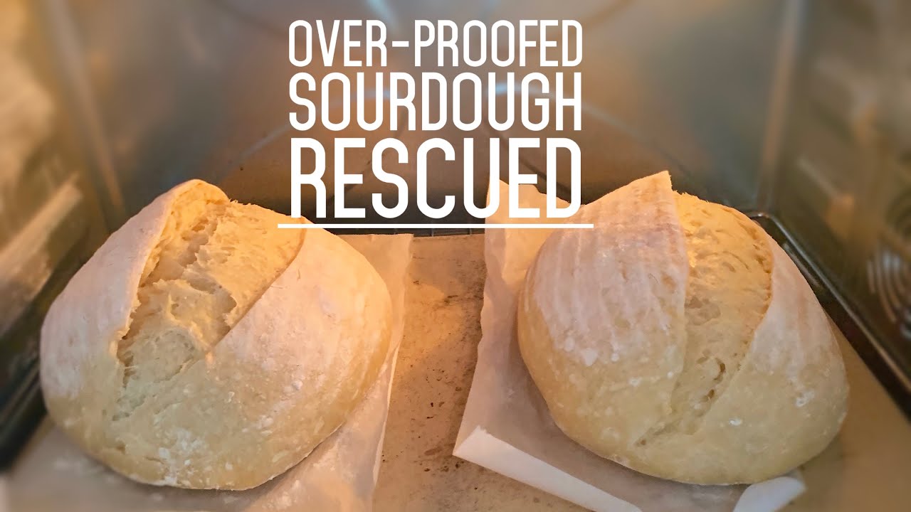 How To Rescue an Overproofed Sourdough and Still Gets Open Crumbs & EAR 如何挽救过度发酵欧包，还能有兔耳！