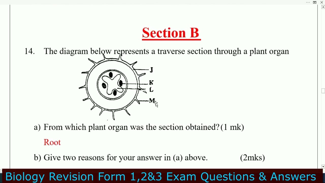 Biology Revision | Form 1,2&3 Exam 80 Marks | KCSE  Ques & Ans | Biology Revision Work KCSE  P1&2