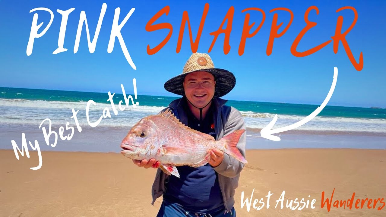 SOUTH AUSTRALIA TURNS IT ON! | Fleurieu Peninsula | Victor Harbor | Lap of Aus | Ep 47