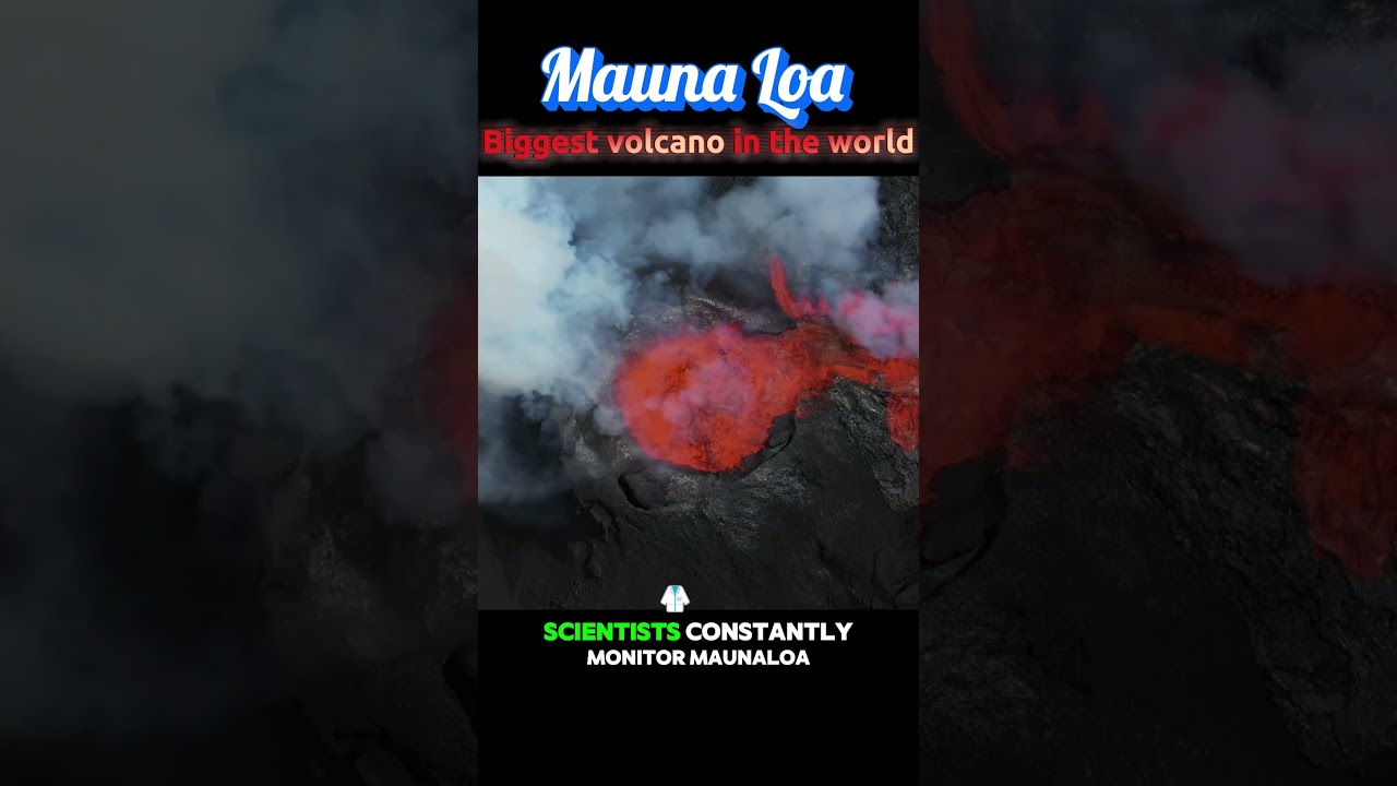 世界最大の火山、マウナロア #theshin #traveldocumentary #maunaloa