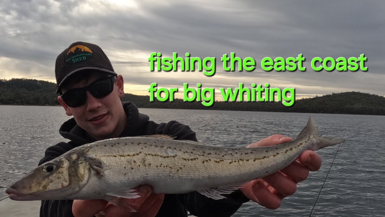 Fishing Tasmania's east coast for big Tasmania king George whiting.