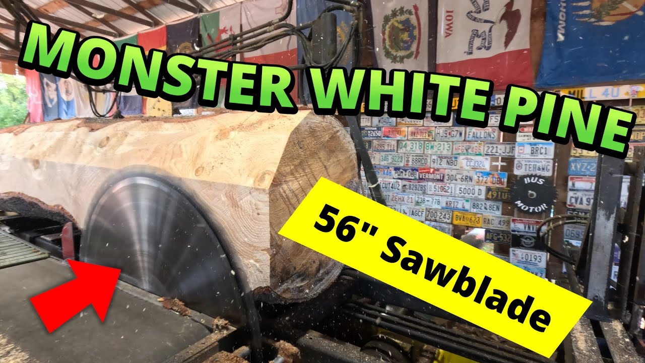 Sawing one nice Monster white pine log # 755