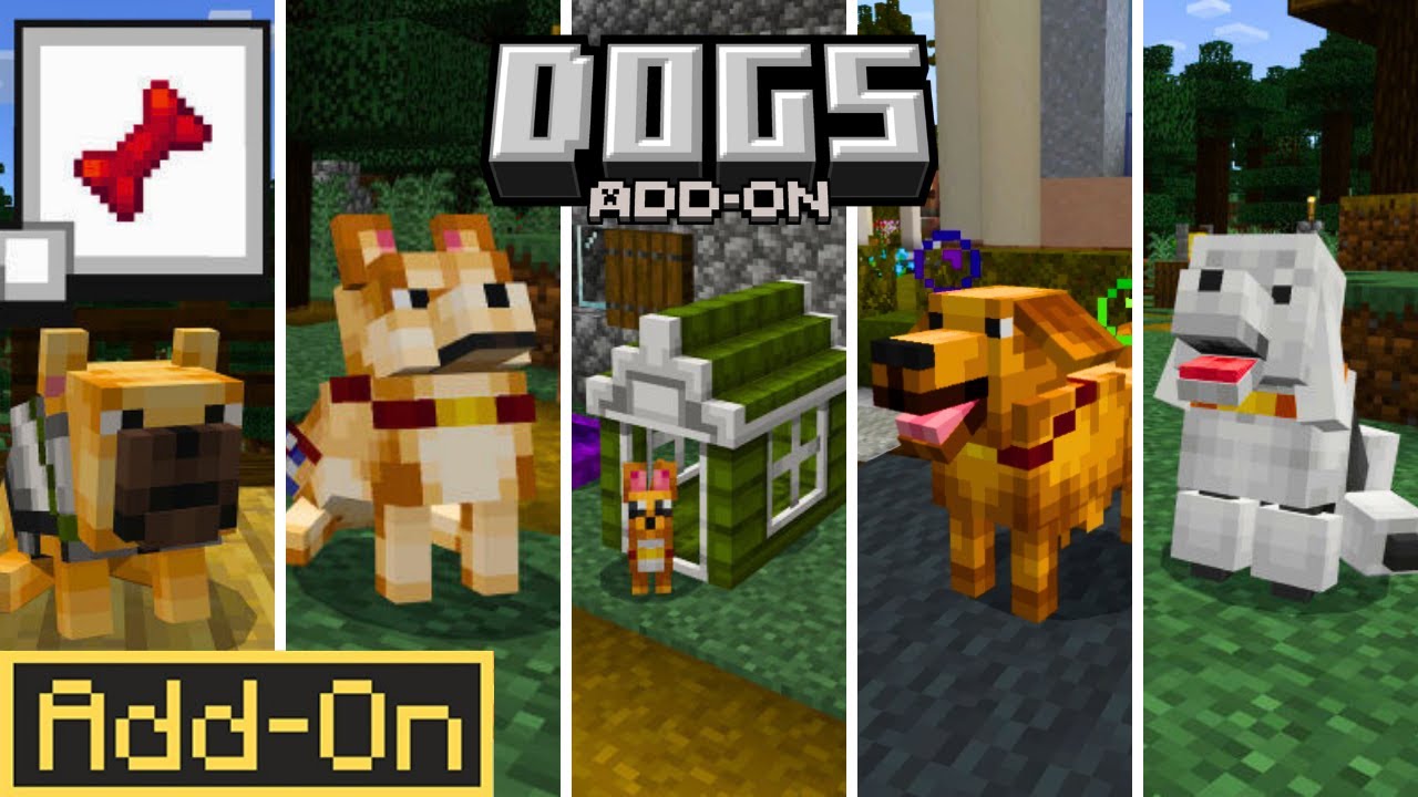 Dogs Add-On Full Showcase (ALL FEATURES) | Minecraft Bedrock Addon