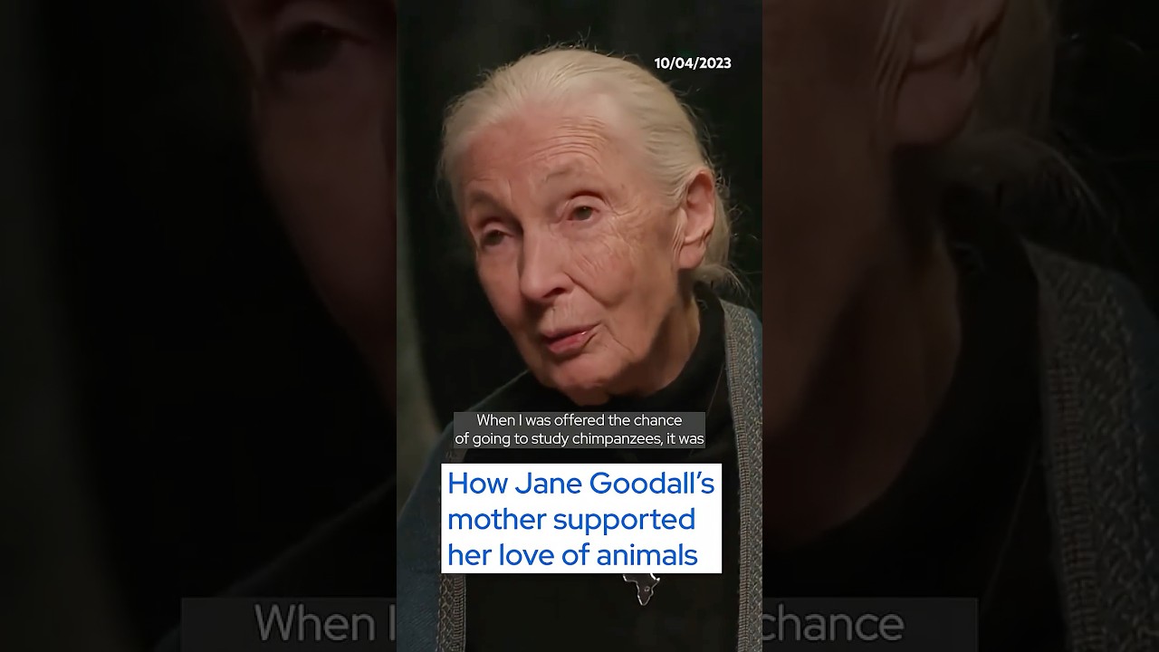 Remembering #JaneGoodall