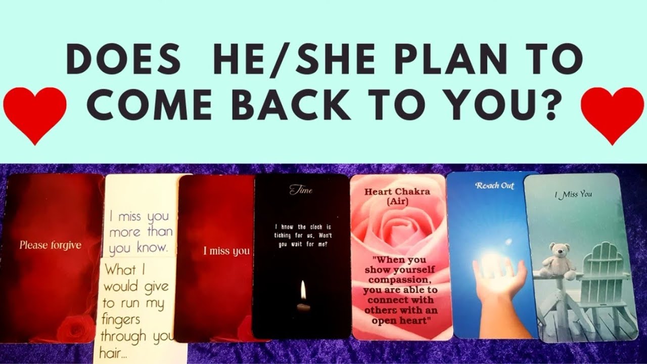 💕🕊Do they plan to come back to you?💕🕊