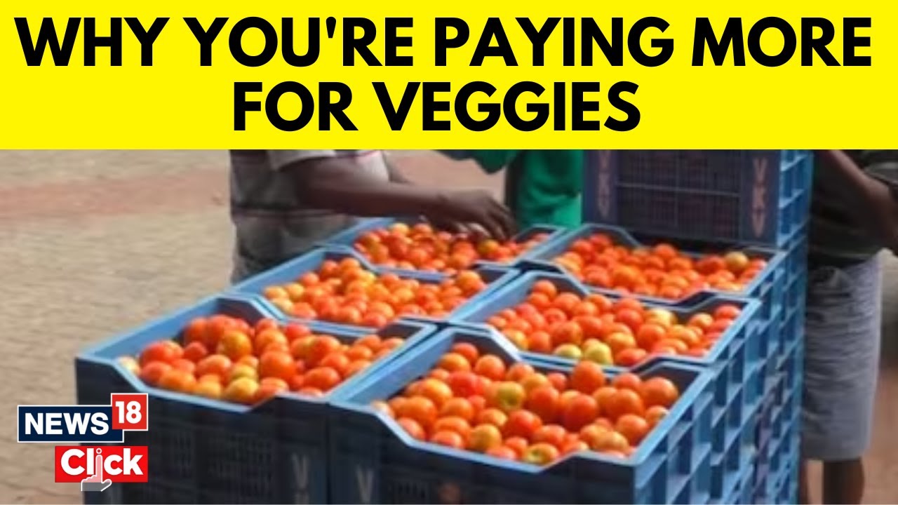 Why Tomato Prices Are On The Rise, When Will They Come Down? | English News | Mosoon Delay | News18