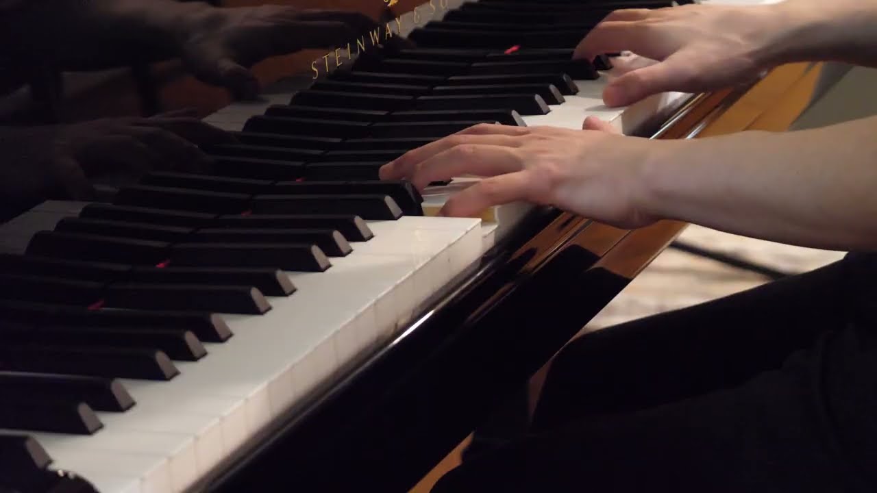 Emil - NieR: Piano Journeys cover