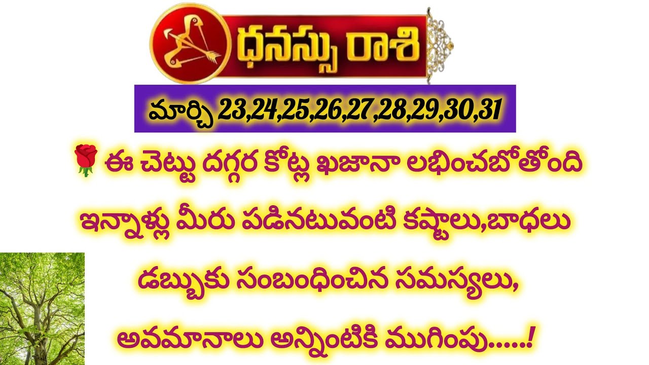 ధనుస్సు రాశి వారికి ఈ చెట్టు దగ్గర కోట్ల ఖజానా లభించబోతోంది|Dhanusu Rasi 2026|Dhanush Rashi